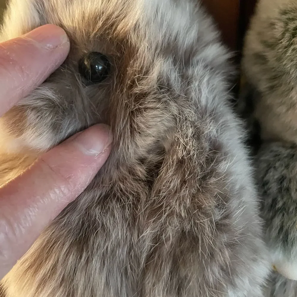 N/A adorable plush